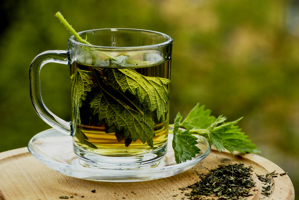 maydanoz çayı